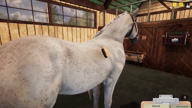 Animal Shelter - Horse Shelter DLC PC Key Prices