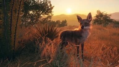 theHunter: Call of the Wild™ - Rancho del Arroyo