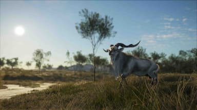 theHunter: Call of the Wild™ - Emerald Coast Australia Price Comparison