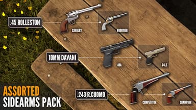 theHunter: Call of the Wild™ - Assorted Sidearms Pack