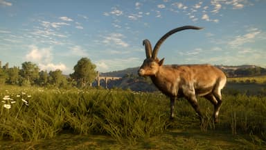 theHunter: Call of the Wild™ - Cuatro Colinas Game Reserve Price Comparison