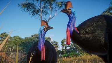 Planet Zoo: Australia Pack Price Comparison