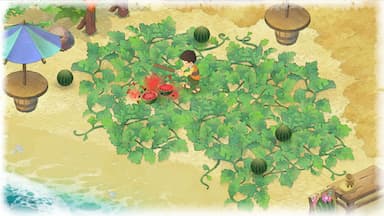 DORAEMON  STORY OF SEASONS CD Key Prices for PC