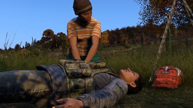 DayZ