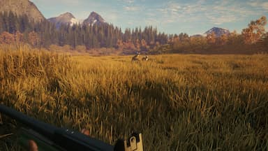 theHunter: Call of the Wild™ - Hunter Power Pack PC Key Prices