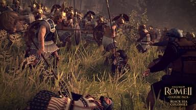 Total War: ROME II -  Black Sea Colonies Culture Pack Price Comparison