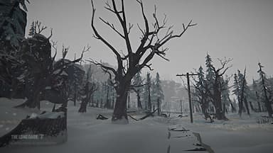 The Long Dark: Tales from the Far Territory CD Key Prices for PC