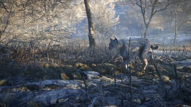 theHunter: Call of the Wild™ - Medved-Taiga