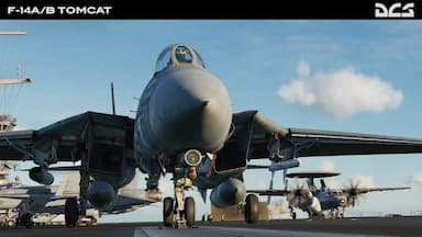 DCS: F-14A/B Tomcat PC Key Prices