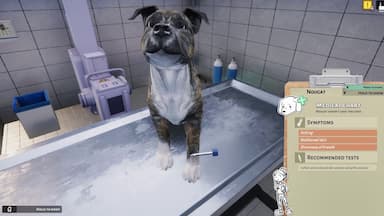 Animal Shelter - Vet Clinic DLC PC Key Prices