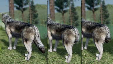 WolfQuest Anniversary - Building Character Pack CD Key Prices for PC