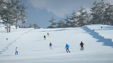 Winter Resort Simulator 2 Price Comparison