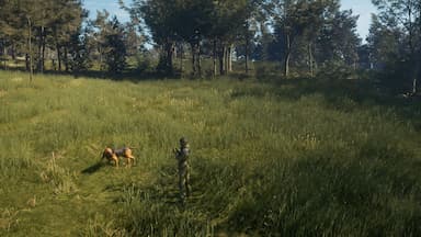 theHunter: Call of the Wild™ - Bloodhound CD Key Prices for PC