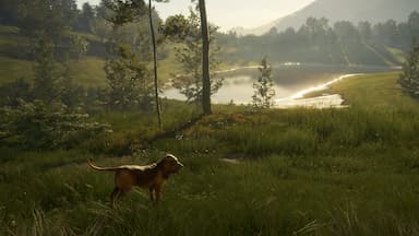 theHunter: Call of the Wild™ - Bloodhound