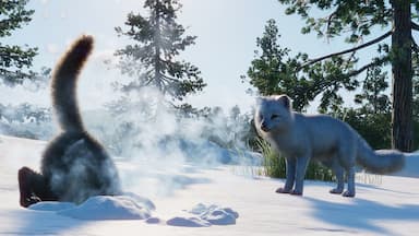 Planet Zoo: North America Animal Pack