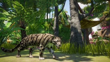 Planet Zoo: Southeast Asia Animal Pack