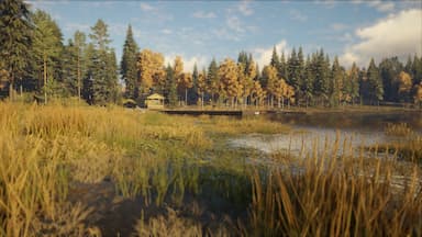 theHunter: Call of the Wild™ - Revontuli Coast