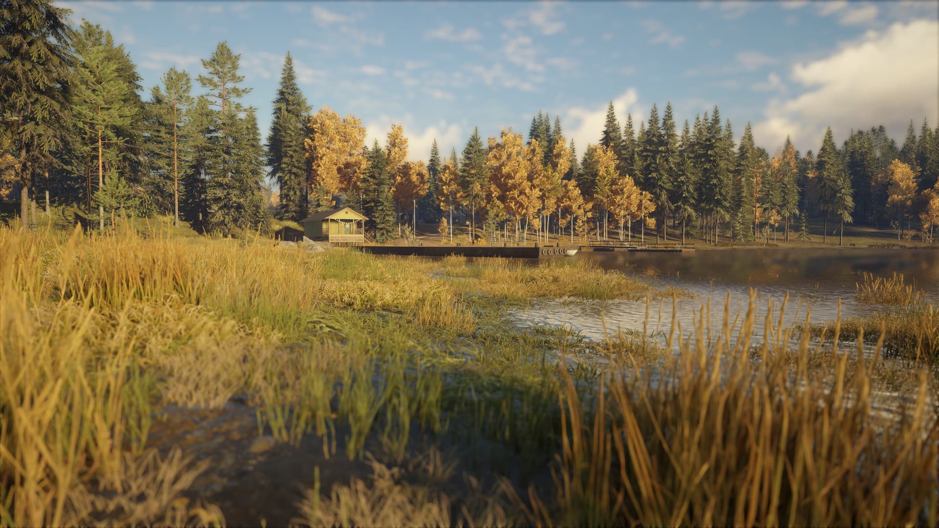 theHunter: Call of the Wild™ - Revontuli Coast