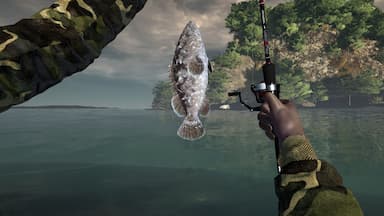 Ultimate Fishing Simulator - Thailand DLC Price Comparison