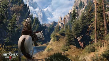 The Witcher® 3: Wild Hunt PC Key Prices