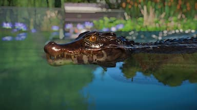 Planet Zoo: Aquatic Pack Price Comparison