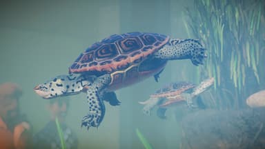 Planet Zoo: Aquatic Pack PC Key Prices