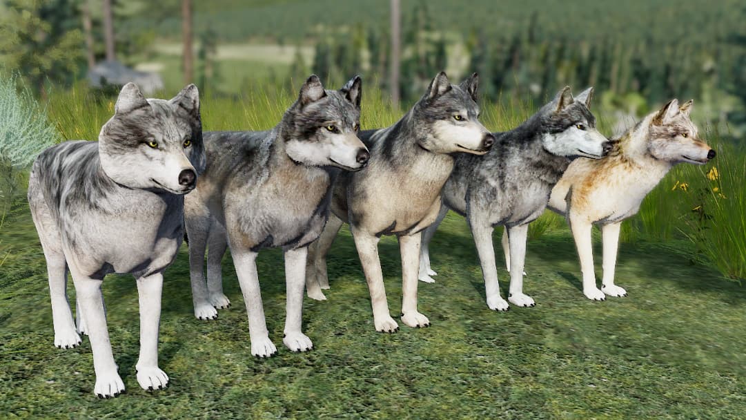 WolfQuest Anniversary - Building Character Pack