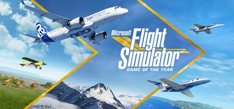 Microsoft Flight Simulator