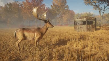 theHunter: Call of the Wild™ - Tents &amp; Ground Blinds