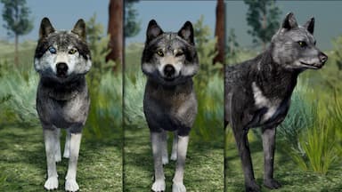 WolfQuest Anniversary - Building Character Pack Price Comparison