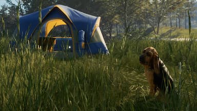 theHunter: Call of the Wild™ - Bloodhound PC Key Prices