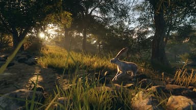 theHunter: Call of the Wild™ - Rancho del Arroyo CD Key Prices for PC