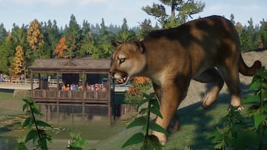 Planet Zoo: North America Animal Pack CD Key Prices for PC