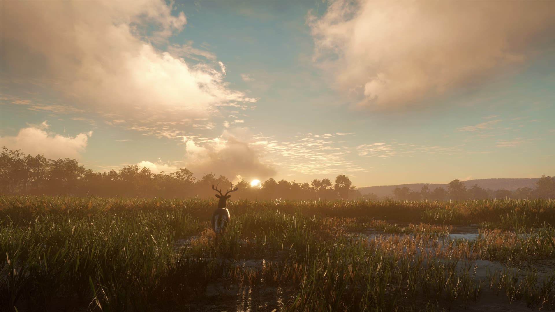 theHunter: Call of the Wild™ - Mississippi Acres Preserve