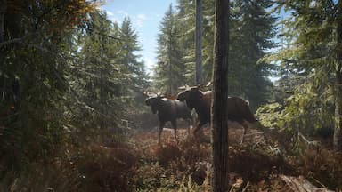 theHunter: Call of the Wild™