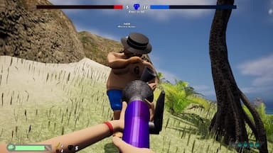 Pirate Fighting Simulator