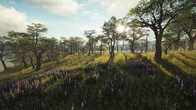 theHunter: Call of the Wild™ - Parque Fernando PC Key Prices