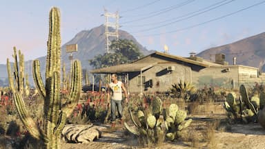 Grand Theft Auto V CD Key Prices for PC