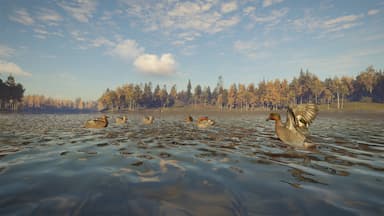 theHunter: Call of the Wild™ - Revontuli Coast PC Key Prices