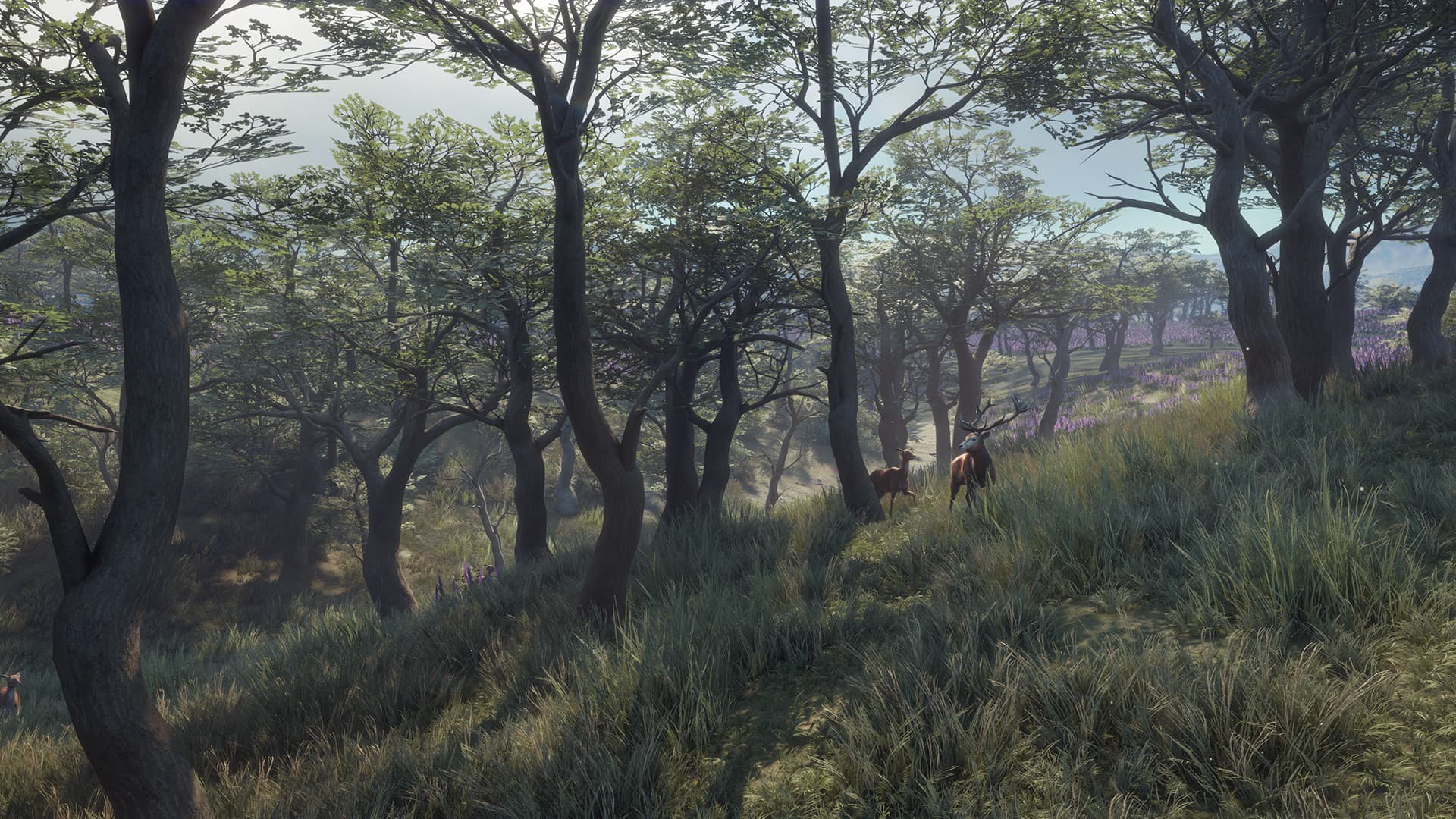 theHunter: Call of the Wild™ - Parque Fernando