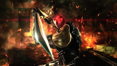 METAL GEAR RISING: REVENGEANCE