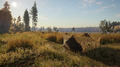 theHunter: Call of the Wild™ - Revontuli Coast