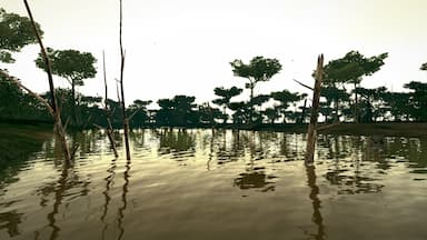 Ultimate Fishing Simulator - Amazon River DLC PC Key Prices