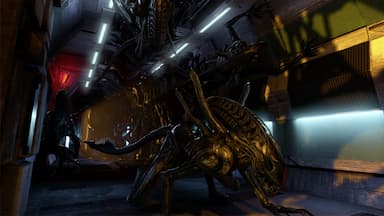 Aliens: Colonial Marines Collection CD Key Prices for PC