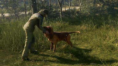 theHunter: Call of the Wild™ - Bloodhound Price Comparison