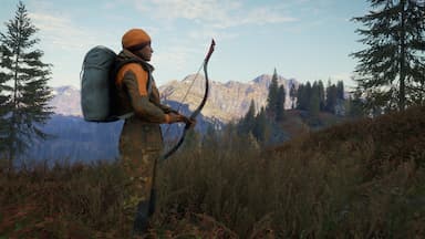 theHunter: Call of the Wild™ - Weapon Pack 1 CD Key Prices for PC